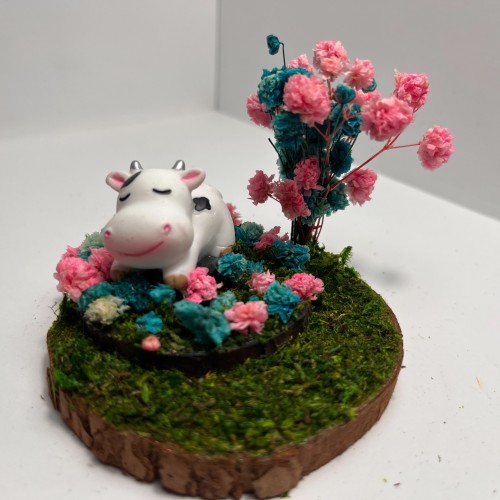 Sleeping Cow