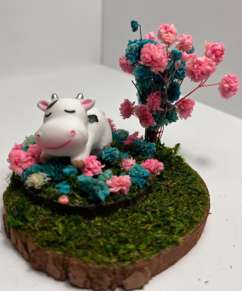 Sleeping Cow