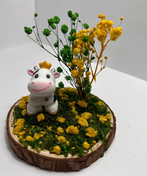 Cow Royal