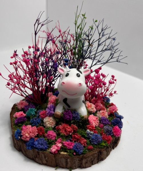 Sitting Cow Pink Pasture