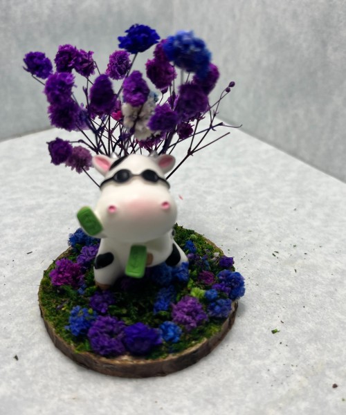 Cash Cow