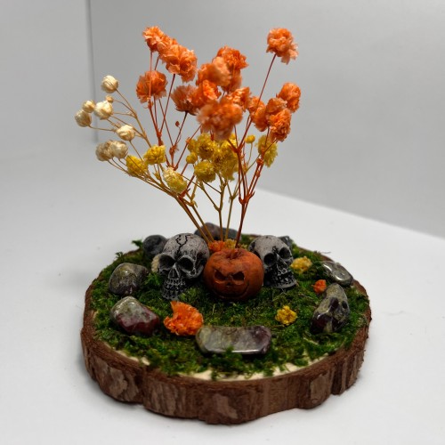 Skulls & Pumpkins