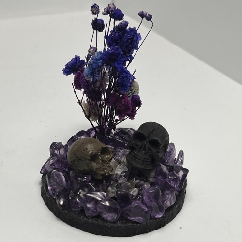 Two Skulls