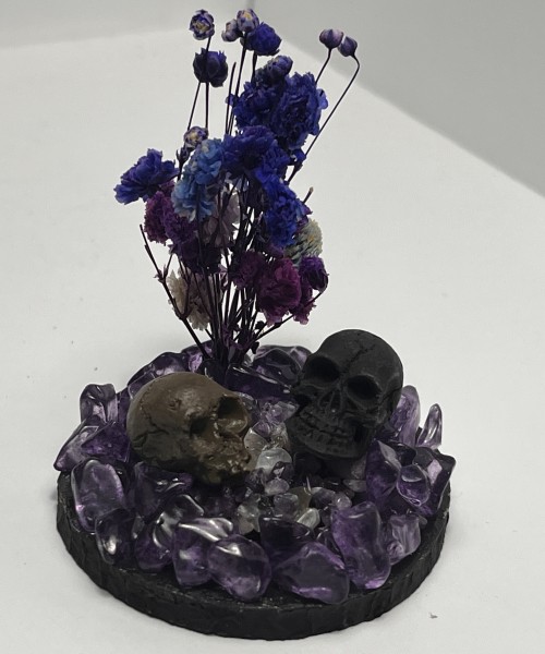 Two Skulls