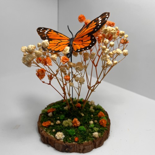 Butterfly Of Peace