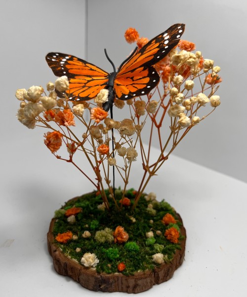 Butterfly Of Peace