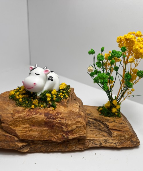 Sleeping Cow Mountaintop