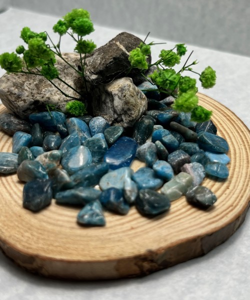 Beach Rocks